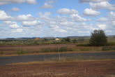 to Winton 029 Small