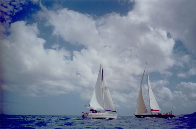 ws2000_120_oz_-c_acropora_and_condor