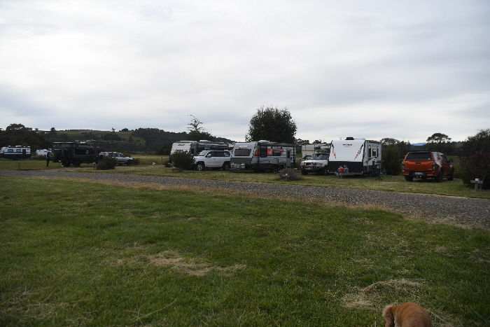 TAS_3962_Small TAS_3962_Small