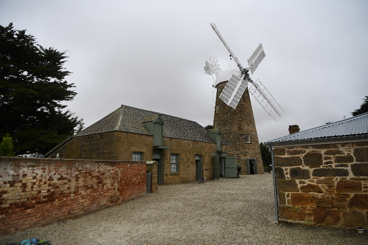 TAS_5105_Small TAS_5105_Small