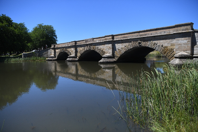 TAS_4702_Small TAS_4702_Small