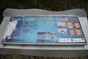 TAS_4384_Small TAS_4384_Small